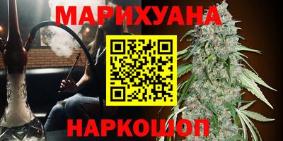 дурь Бийск