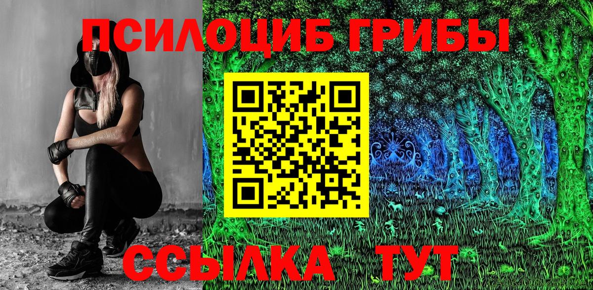 Камень-на-Оби  даркнет сайт  Вход с VPN  Псилоцибиновые грибы прущие грибы 