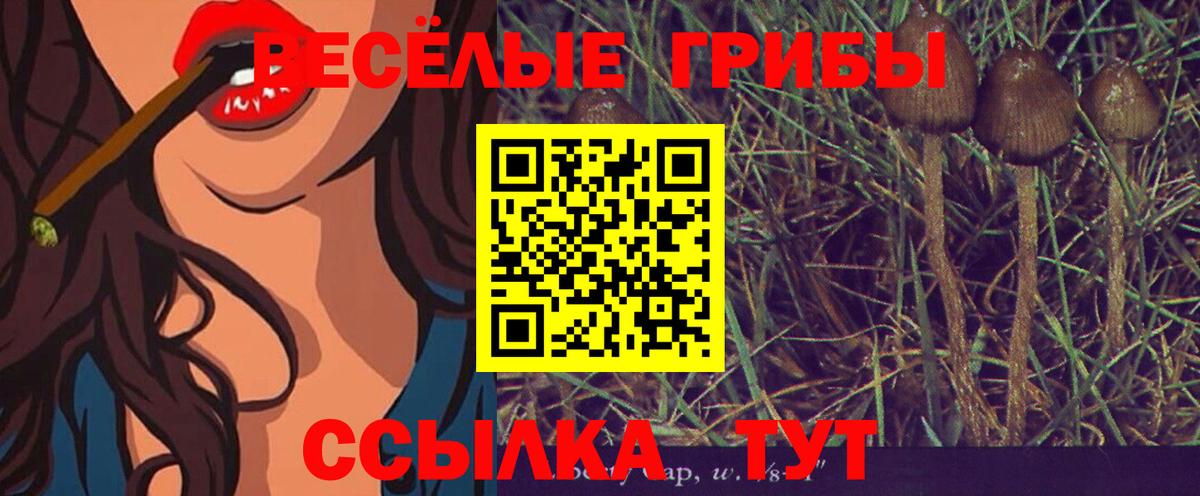 Галлюциногенные грибы ЛСД Камень-на-Оби